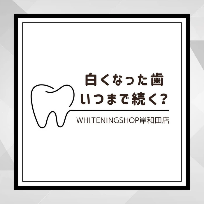 画像247
