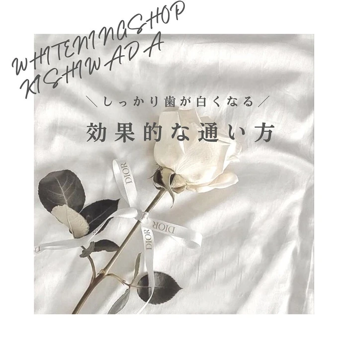画像488